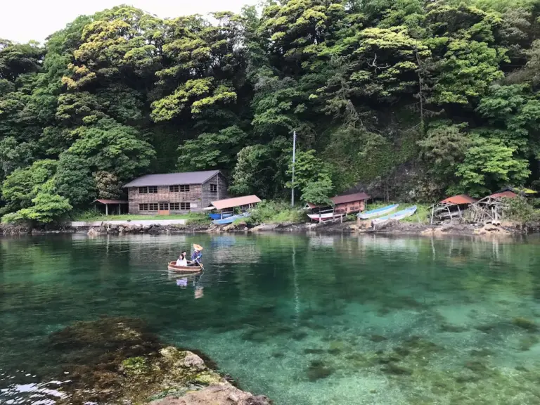 taraibune